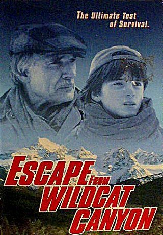 Побег из каньона дикой кошки (1998)