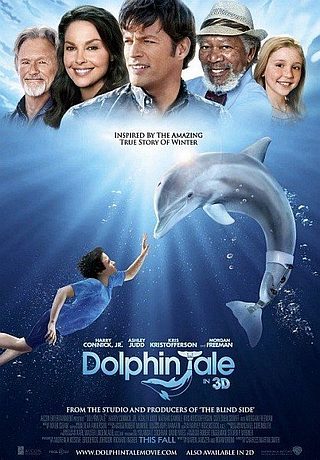 История дельфина (2011)