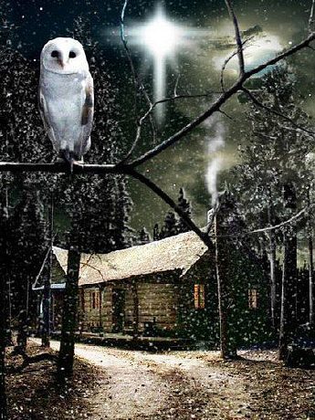 Рождественское чудо Джонатана Туми (2007)
