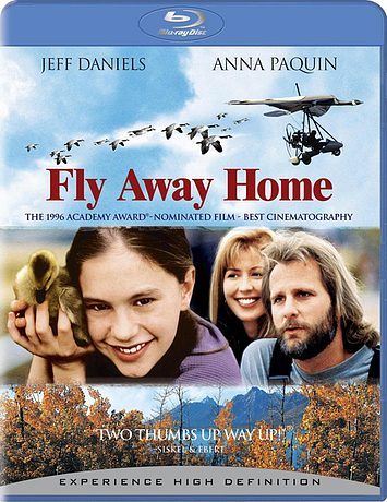 Летите домой (1996)