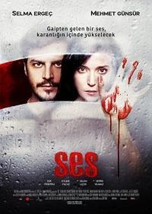 Голос (2010)