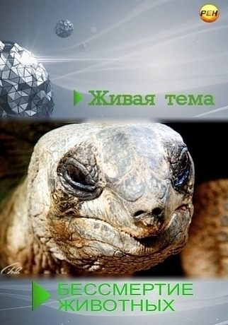 Живая тема. Бессмертие животных