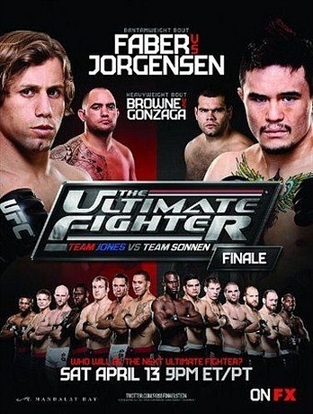 The Ultimate Fighter 17. Финал (2013)