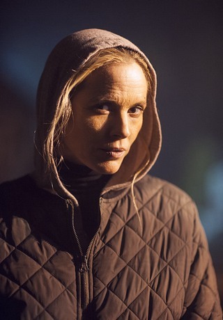 Рецензия на триллер «Громила» (2014)