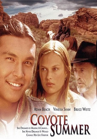В одно прекрасное лето (1996)