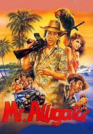 Преследование по пятам (1987)