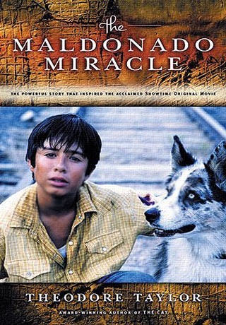 Чудо Мальдонадо (2003)