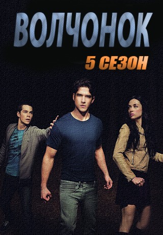 Волчонок