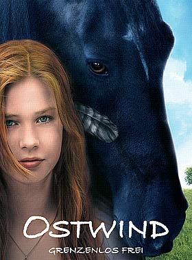 Восточный ветер (2013)