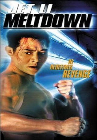 Степень риска (1995)