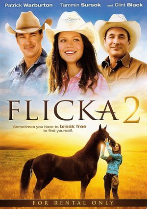 Флика 2 / Flicka 2 (2010)
